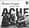 Shadow of a Gipsy